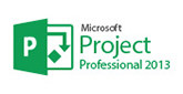 Microsoft Project Professional 2013