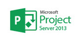 Microsoft Project Server 2013