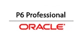 Oracle P6 Professional
