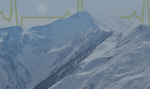 Scaling in a crisis white paper tile image.